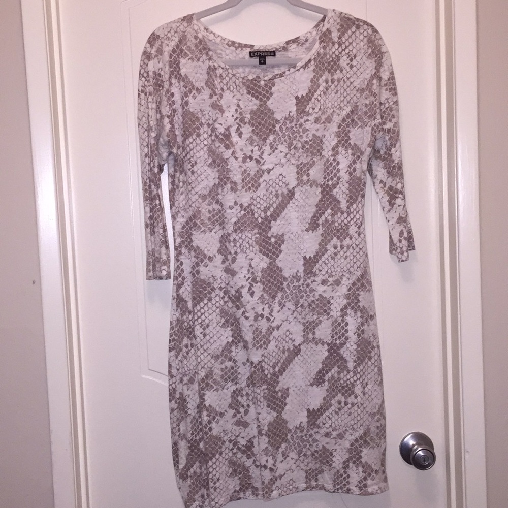 Express Snake Print Dress